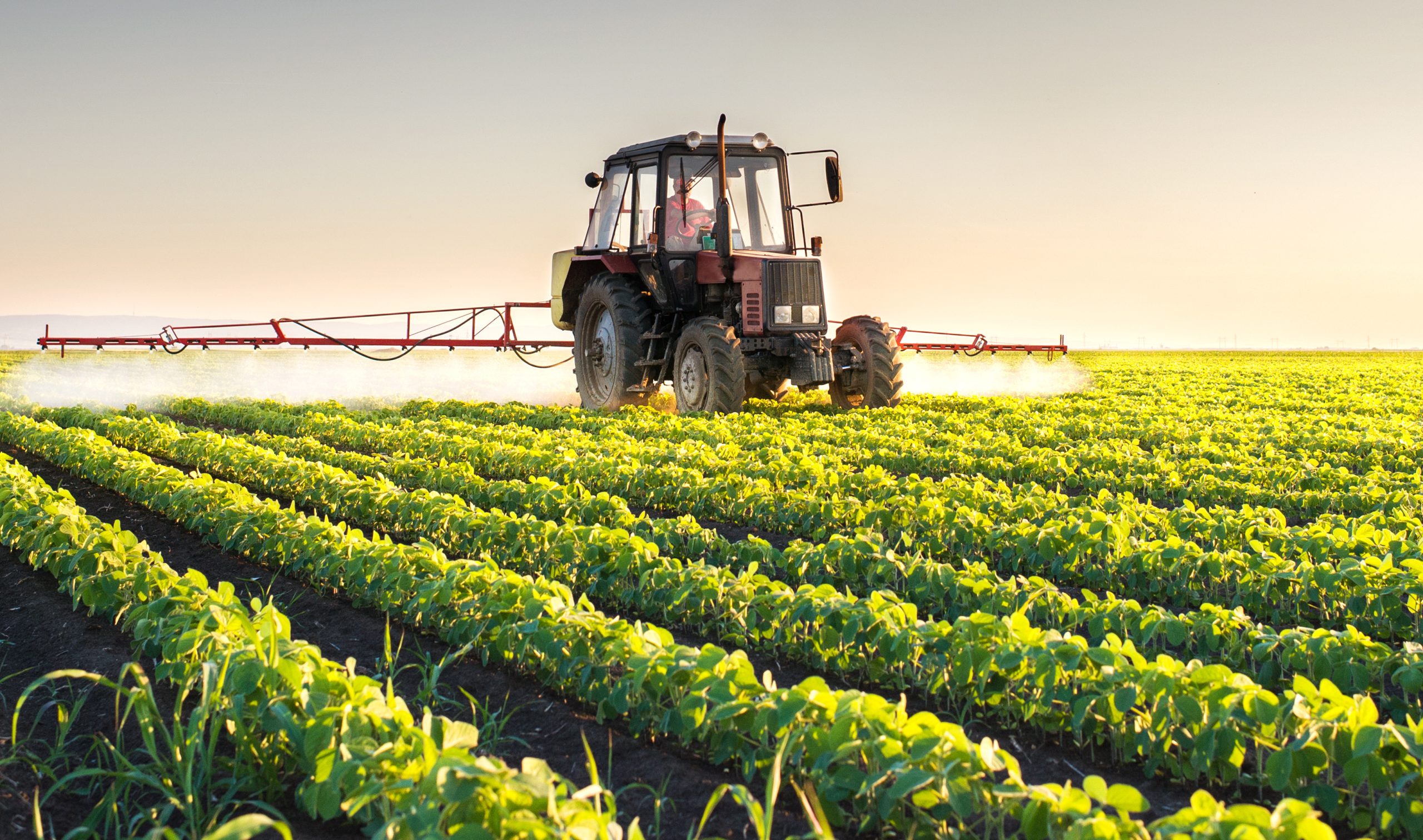 agricoltura-coldiretti-crisi-allarme-prezzi